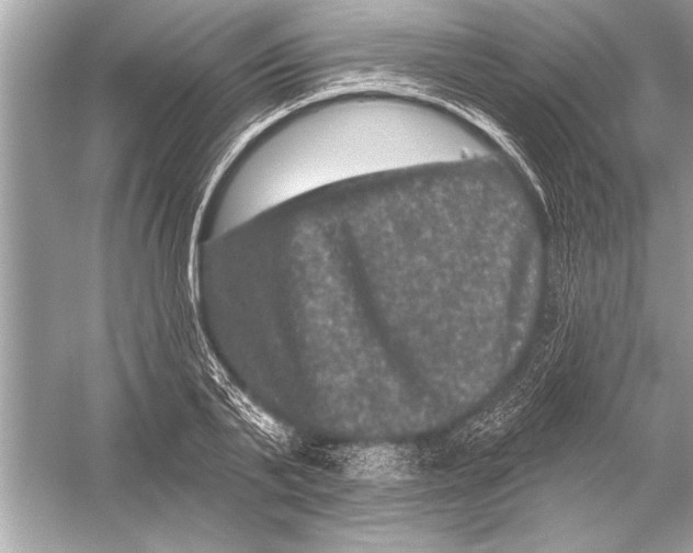 X0000051890791200507222014