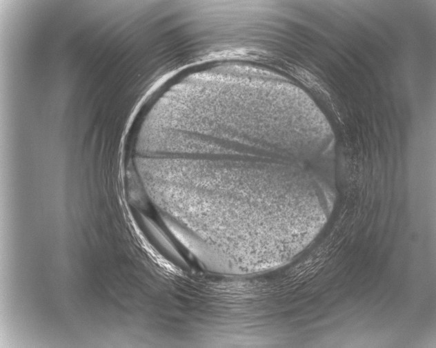 X0000051890792200507222014