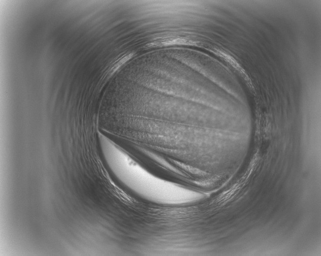 X0000051890793200507222014