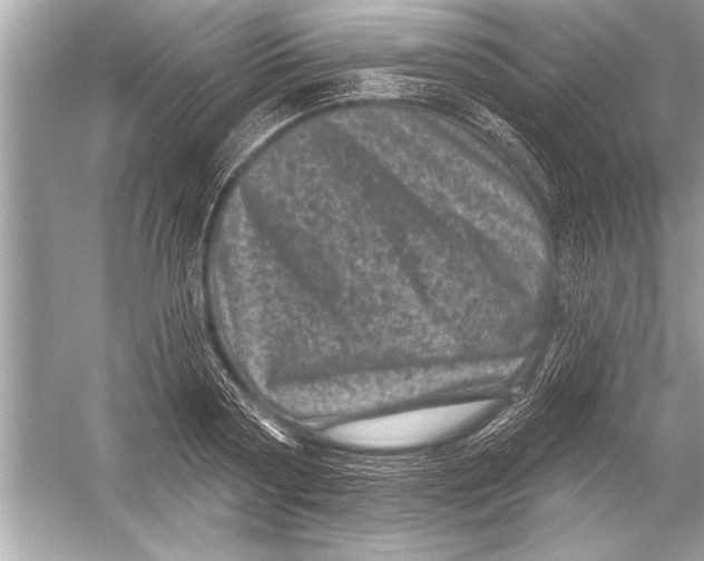 X0000051890794200507222014