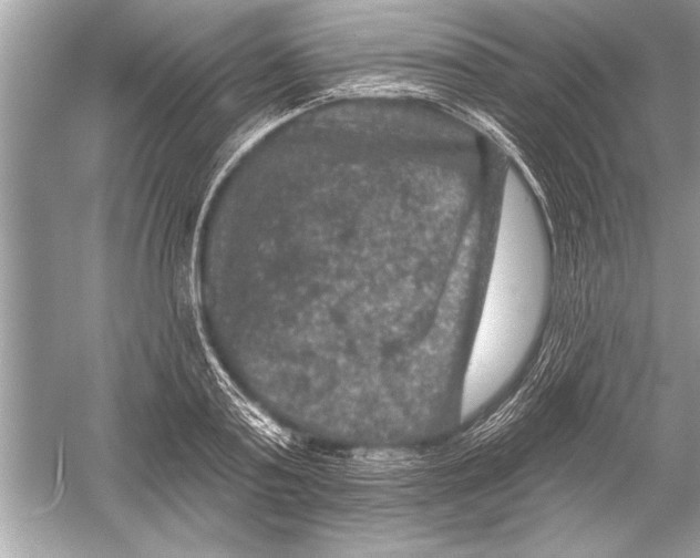 X0000051890795200507222014