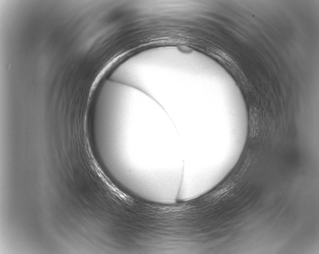 X0000051890796200507222014