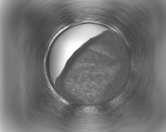 X0000051890798200507222014