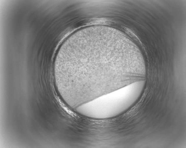 X0000051890800200507222014