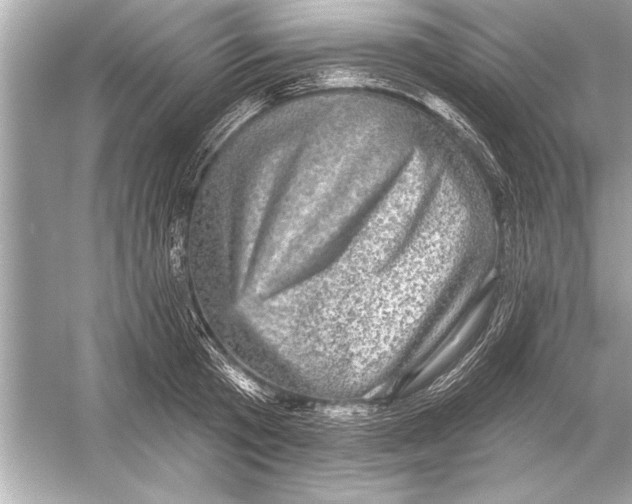 X0000051890801200507222014