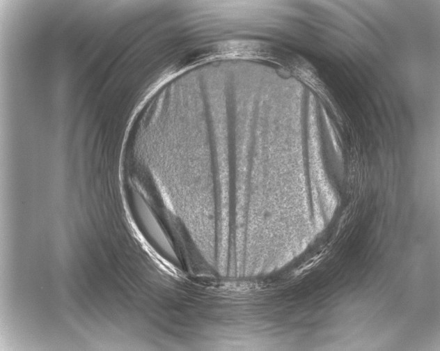 X0000051890803200507222014