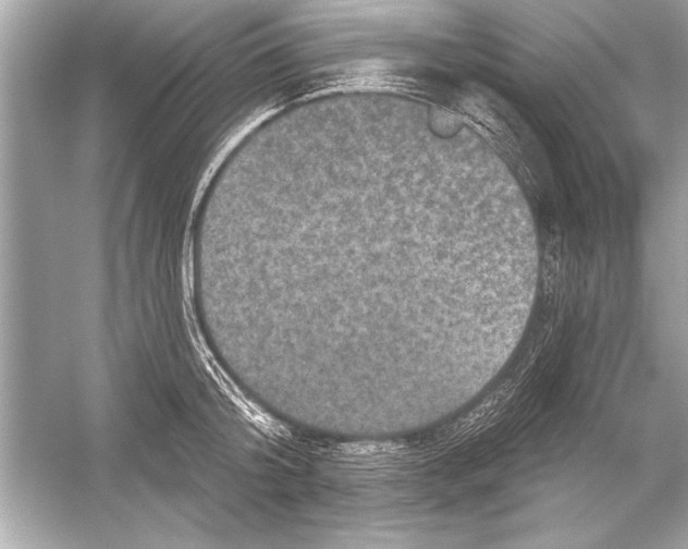 X0000051890804200507222014