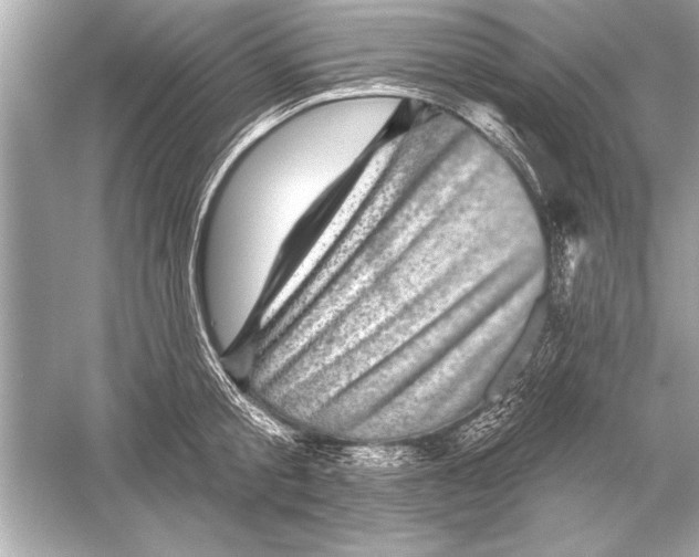 X0000051890805200507222014