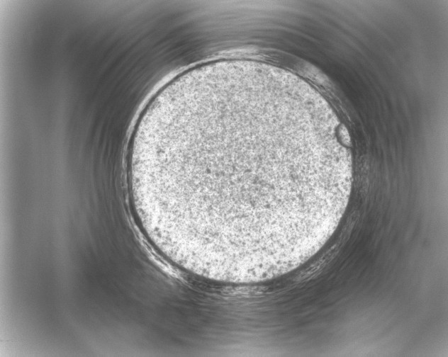 X0000051890808200507222014