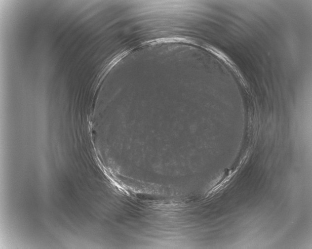 X0000051890809200507222014