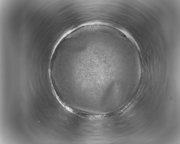 X0000051890813200507222014