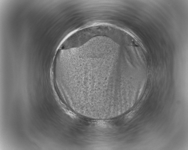 X0000051890814200507222014