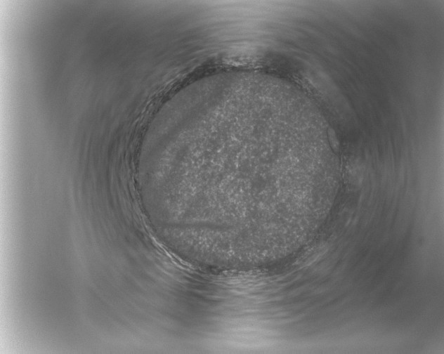 X0000051890817200507222013