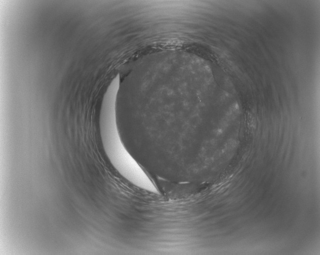 X0000051890818200507222013