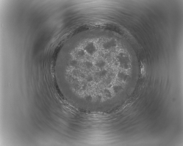 X0000051890819200507222013