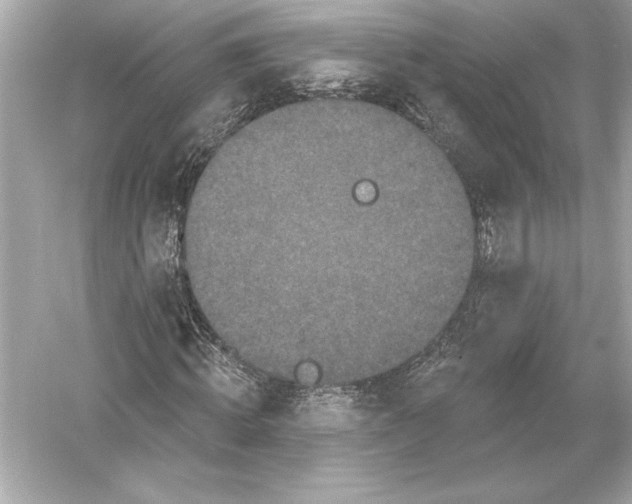 X0000051890820200507222013