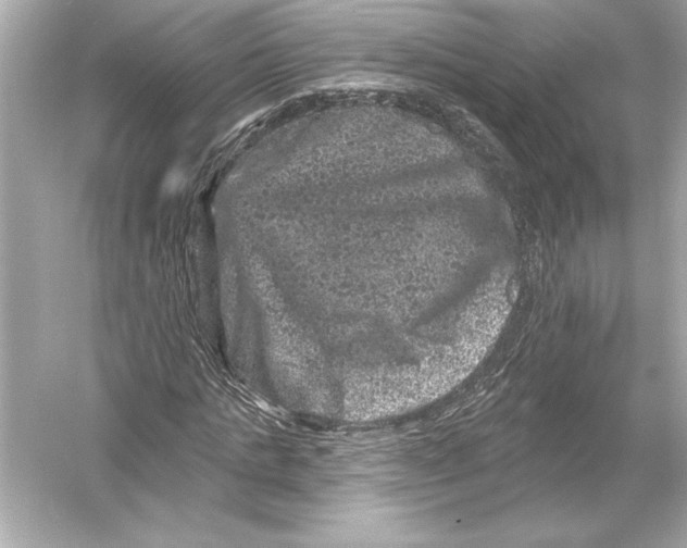 X0000051890821200507222013