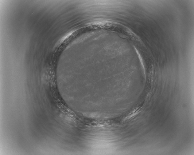 X0000051890822200507222013