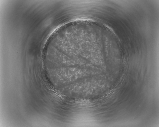 X0000051890823200507222013