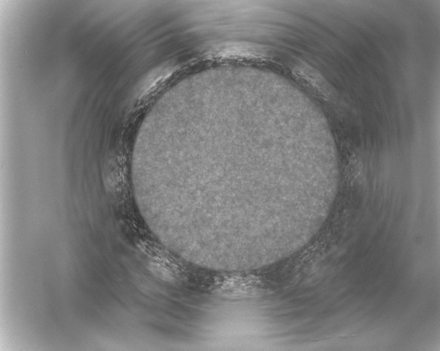 X0000051890824200507222013