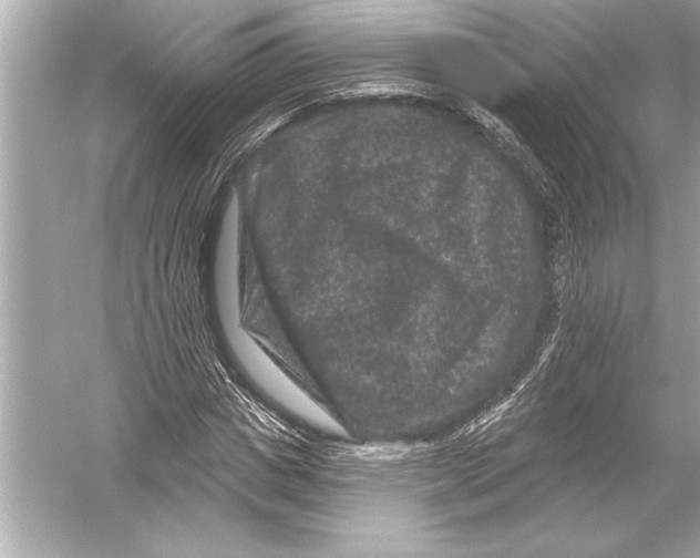 X0000051890825200507222013