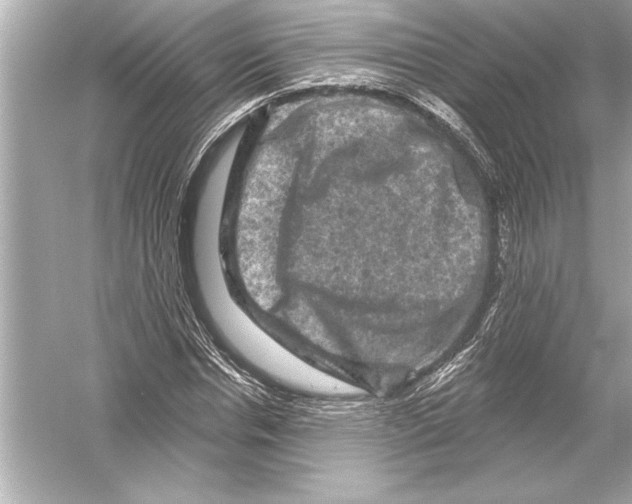 X0000051890826200507222013