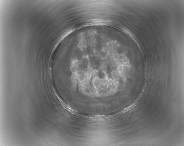 X0000051890827200507222013