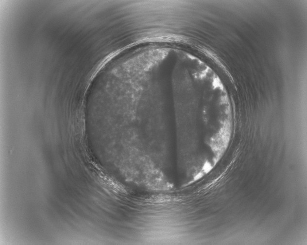 X0000051890829200507222013