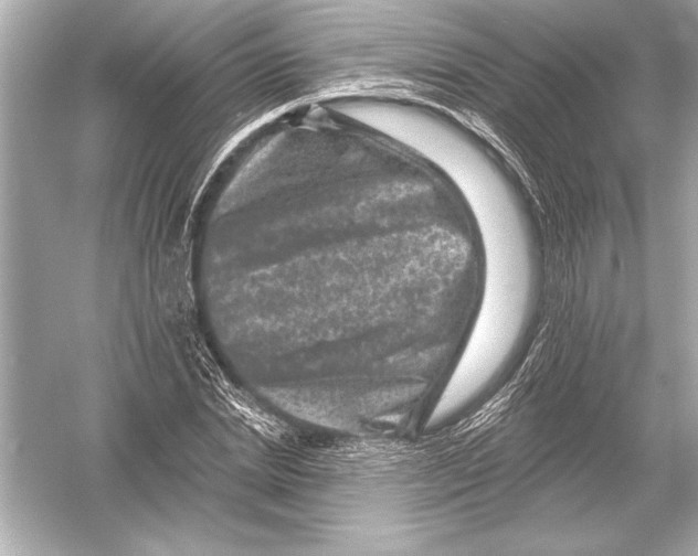 X0000051890830200507222013