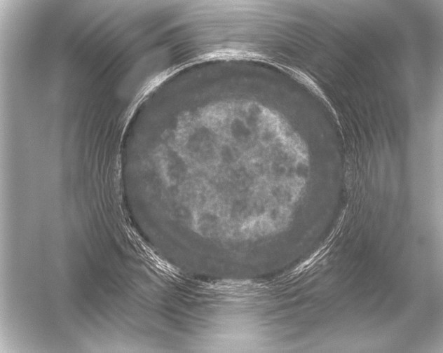 X0000051890831200507222013