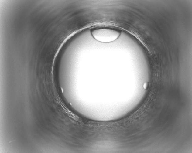 X0000051890832200507222013