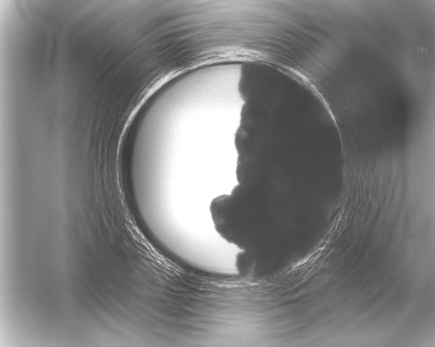 X0000051890835200507222013