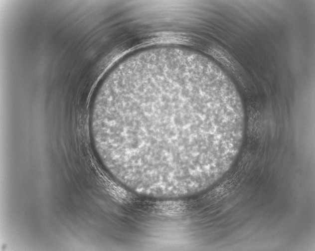 X0000051890836200507222013