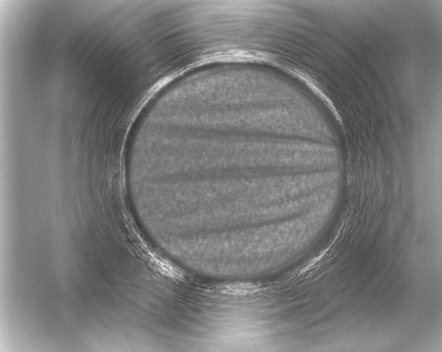 X0000051890837200507222013