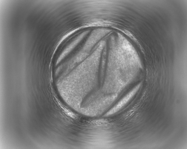 X0000051890838200507222013