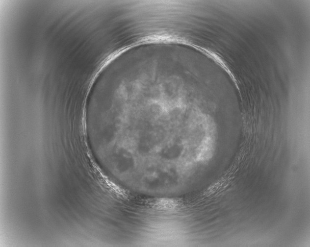 X0000051890839200507222013