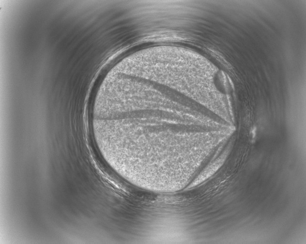 X0000051890840200507222013