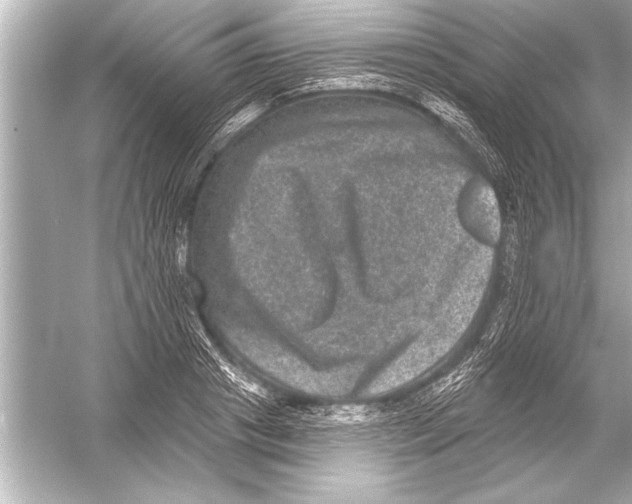 X0000051890841200507222014