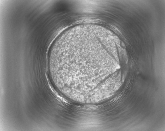 X0000051890844200507222014