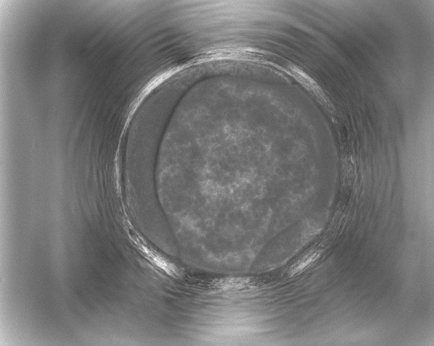 X0000051890846200507222014