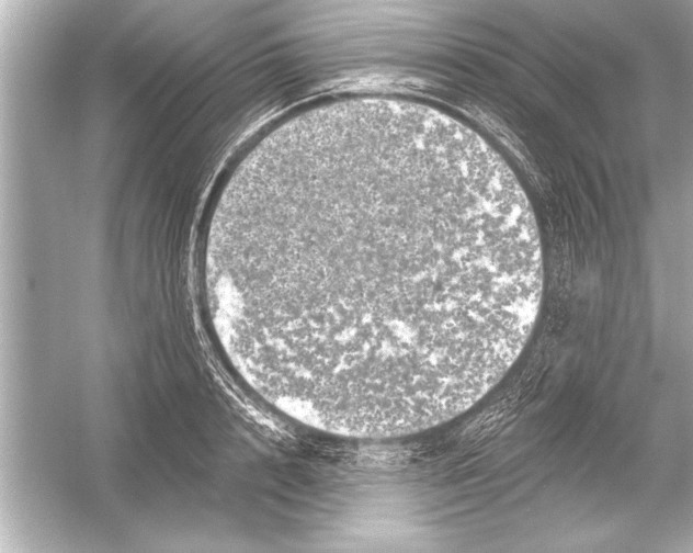 X0000051890848200507222014