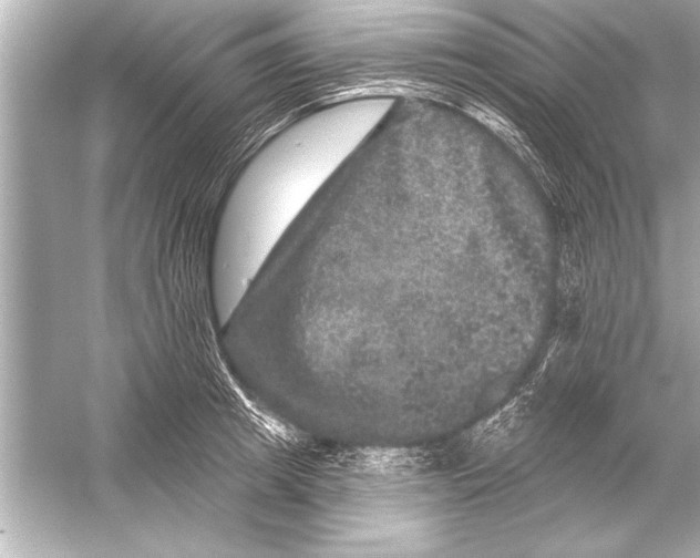 X0000051890849200507222014