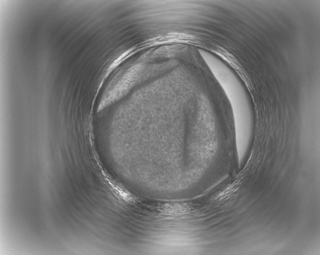 X0000051890850200507222014