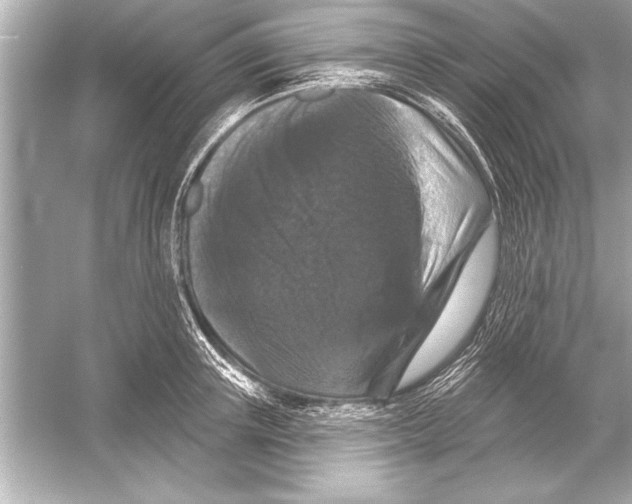 X0000051890851200507222014