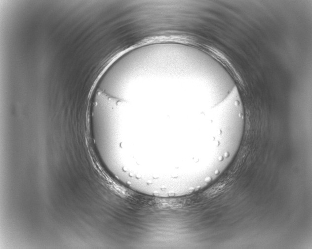 X0000051890852200507222014