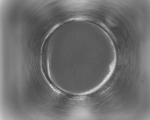 X0000051890853200507222014