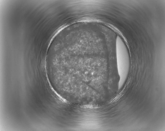 X0000051890855200507222014