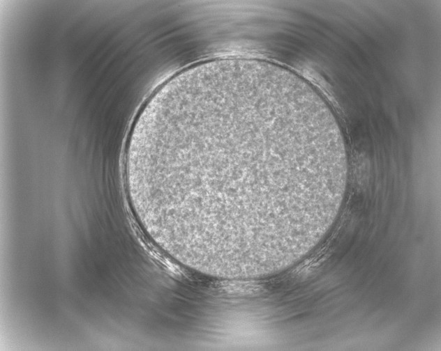 X0000051890856200507222014