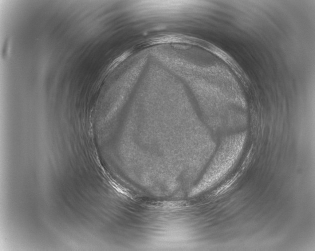 X0000051890857200507222014