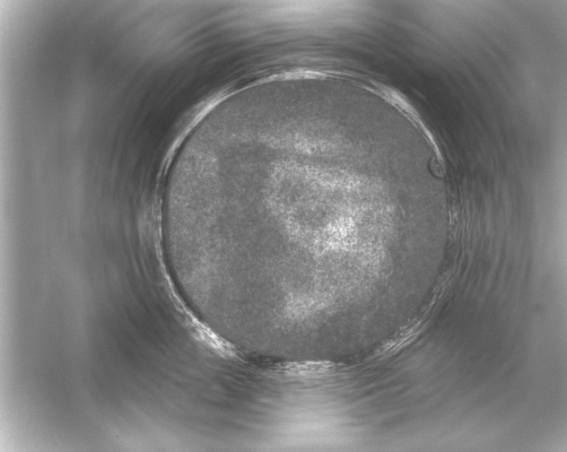 X0000051890859200507222014